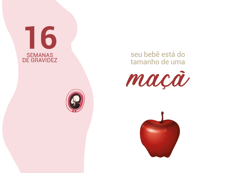 16 Semana De Gravidez Sintomas Maternidade And Hospital Octaviano Neves 
