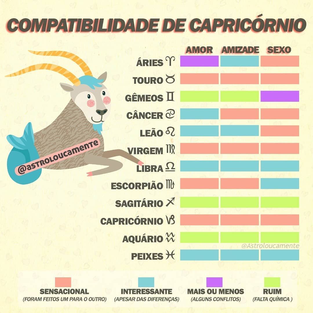 capricórnio combina com qual signo