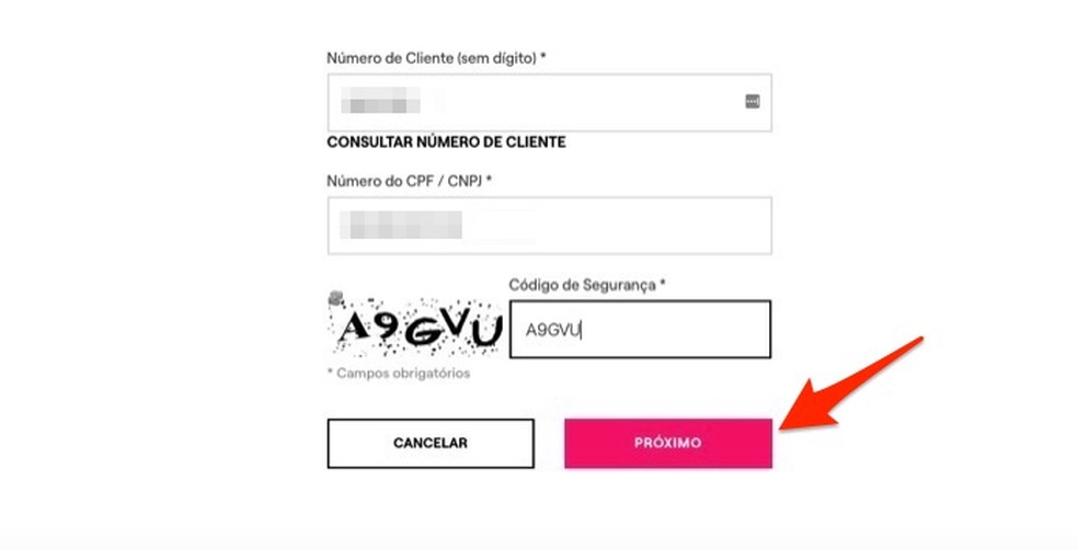 como tirar 2 via da enel pelo cpf