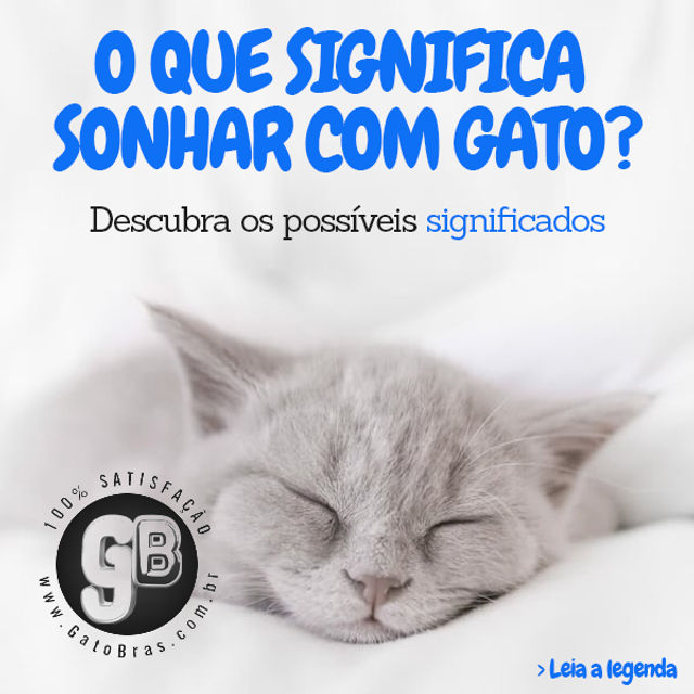 o que significa sonhar com gato