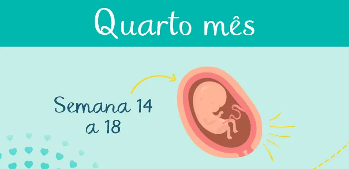 Sintomas De Gravidez 4 Meses Maternidade And Hospital Octaviano Neves 