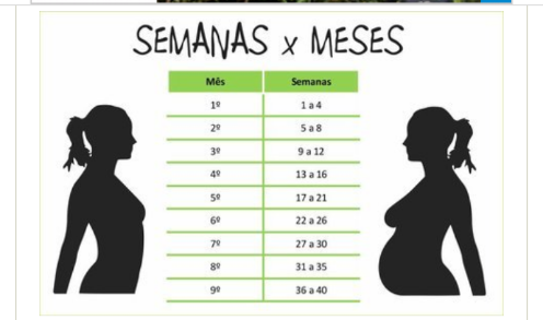 22 Semanas É Quantos Meses De Gravidez