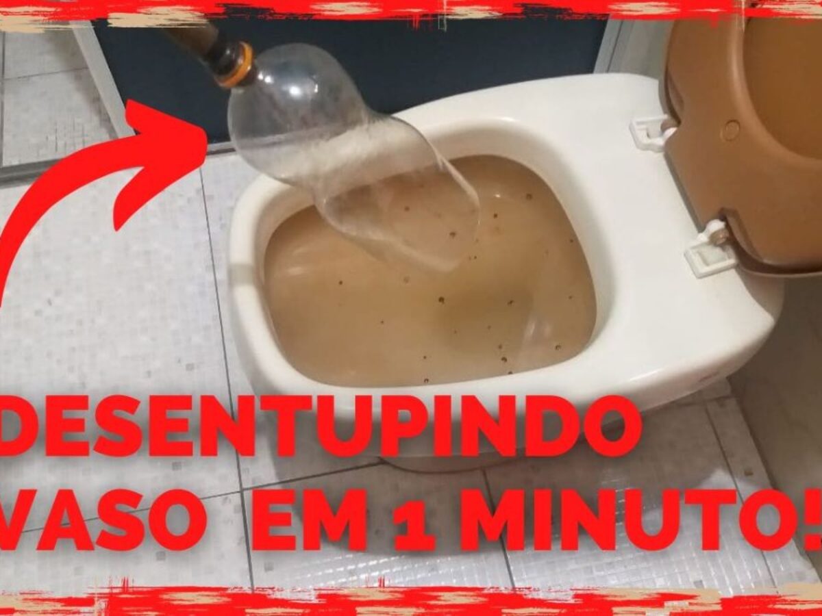 Como desentupir vaso sanit\u00e1rio com fezes - Maternidade \u0026 Hospital ...