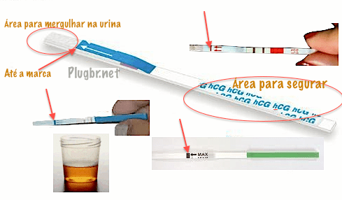 Deixei O Teste De Gravidez Muito Tempo Na Urina