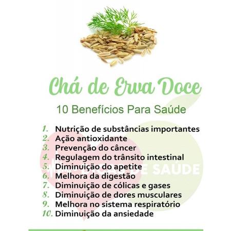 Chá erva doce benefícios