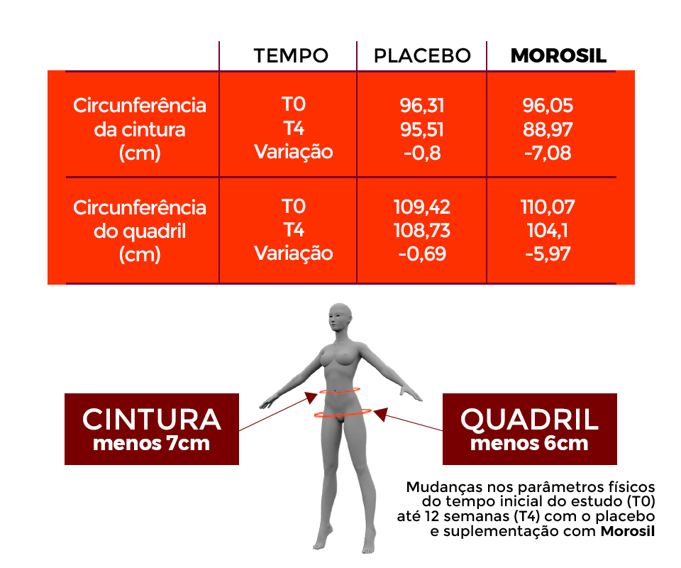 Como funciona o Morosil?