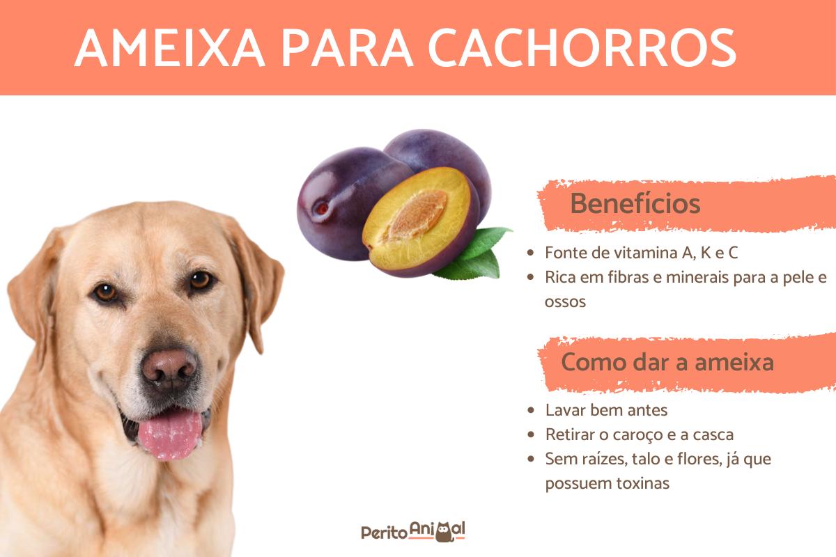 cachorro pode comer ameixa?