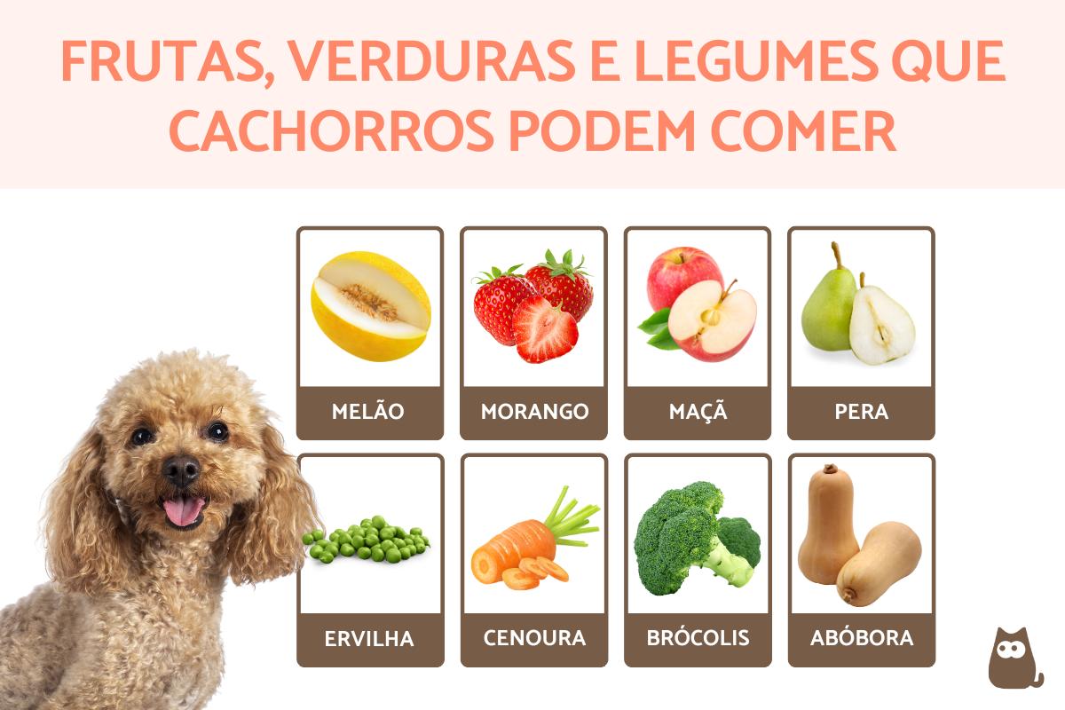 quais frutas cachorro pode comer?