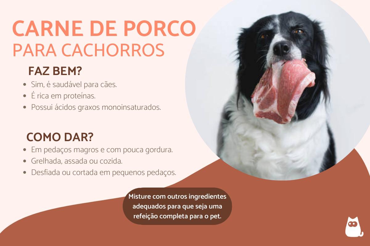 cachorro pode comer carne de porco?