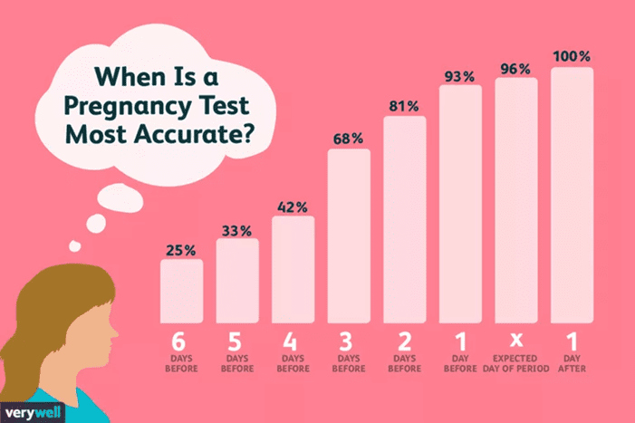 How Long Does It Take for a Pregnancy Test to Be Accurate?